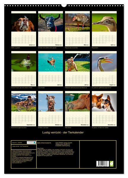Produktbild: Lustig verr&uuml;ckt - der Tierkalender (Wandkalender 2026 DIN A2 hoch), CALVENDO Monatskalender