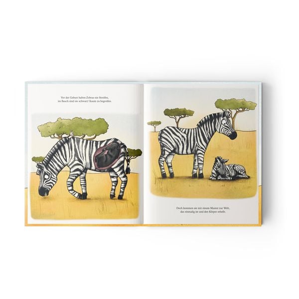 Produktbild: Noomi, das streifenlose Zebra