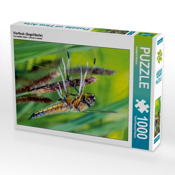 Produktbild: CALVENDO Puzzle Vierfleck (Segellibelle) 1000 Teile Puzzle hoch | 1000 Teile Lege-Gr&ouml;&szlig;e 64 &times; 48 cm Foto-Puzzle f&uuml;r gl&uuml;ckliche Stunden