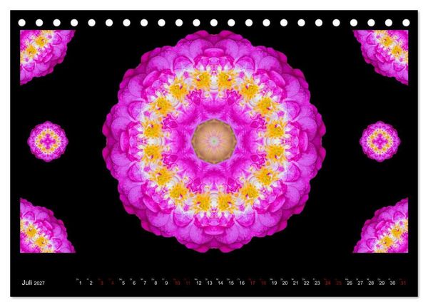 Produktbild: ROSEN MANDALAS (Tischkalender 2027 DIN A5 quer), CALVENDO Monatskalender
