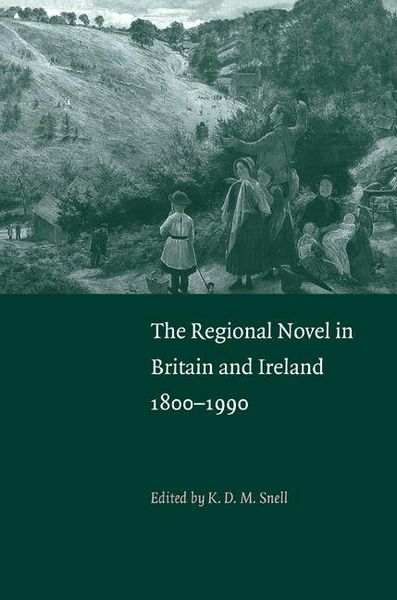 Produktbild: The Regional Novel in Britain and Ireland