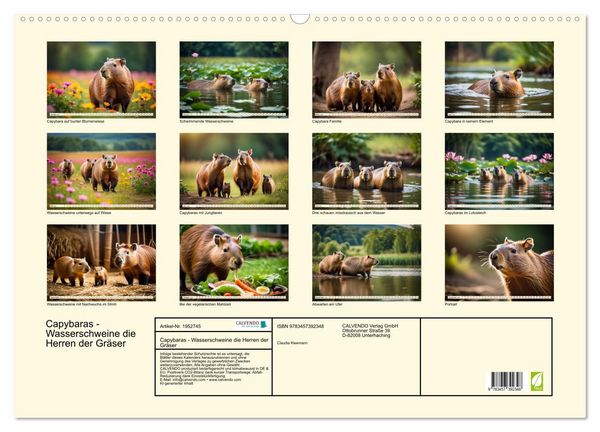 Produktbild: Capybaras - Wasserschweine die Herren der Gr&auml;ser (Wandkalender 2026 DIN A2 quer), CALVENDO Monatskalender