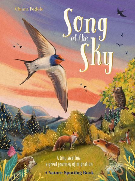 Produktbild: Song of the Sky