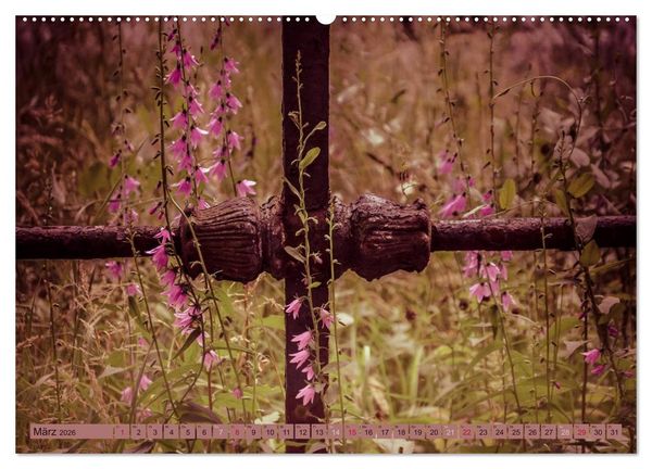 Produktbild: Wildwuchs 2026 (hochwertiger Premium Wandkalender 2026 DIN A2 quer), Kunstdruck in Hochglanz