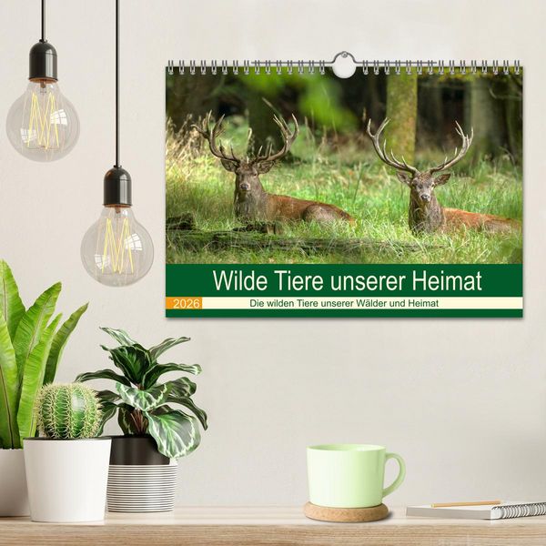 Produktbild: Wilde Tiere unserer Heimat (Wandkalender 2026 DIN A4 quer), CALVENDO Monatskalender