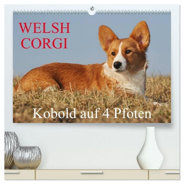 Produktbild: Welsh Corgi - Kobold auf 4 Pfoten (hochwertiger Premium Wandkalender 2026 DIN A2 quer), Kunstdruck in Hochglanz