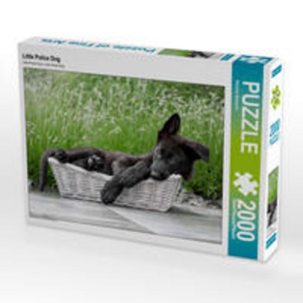 CALVENDO Puzzle Yago Du Boidamont | 2000 Teile Lege-Größe 90x67cm Foto-Puzzle für glückliche Stunden