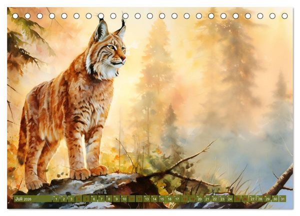 Produktbild: Zw&ouml;lf Monate im Wald (Tischkalender 2026 DIN A5 quer), CALVENDO Monatskalender