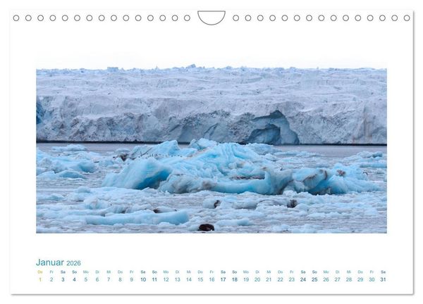 Produktbild: Spitzbergen - Landschaft - Eis - Tierwelt (Wandkalender 2026 DIN A4 quer), CALVENDO Monatskalender