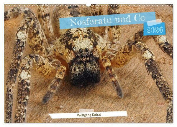 Produktbild: Nosferatu und Co. (Wandkalender 2026 DIN A2 quer), CALVENDO Monatskalender