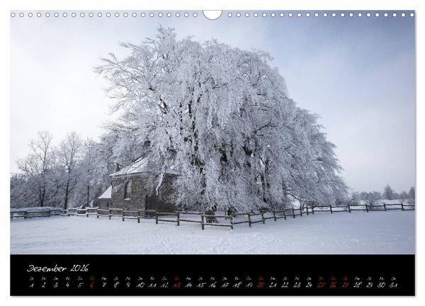Produktbild: Hochmoor Hohes Venn (Wandkalender 2026 DIN A3 quer), CALVENDO Monatskalender