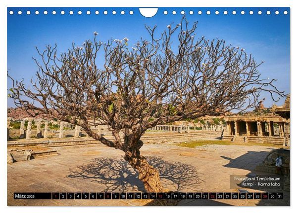 Produktbild: Der zauberhafte S&uuml;den Indiens (Wandkalender 2026 DIN A4 quer), CALVENDO Monatskalender