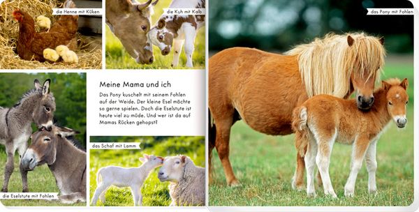 Produktbild: Meine liebsten Tiere auf dem Bauernhof