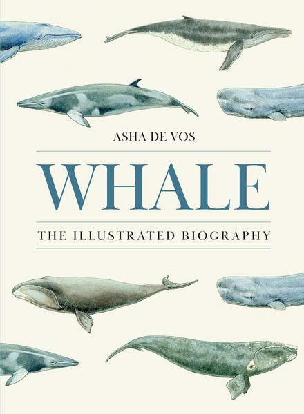Produktbild: Whale