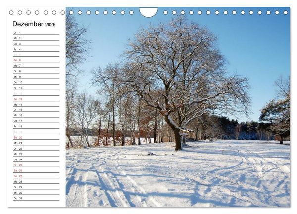 Produktbild: Vier Jahreszeiten im Land Brandenburg (Wandkalender 2026 DIN A4 quer), CALVENDO Monatskalender