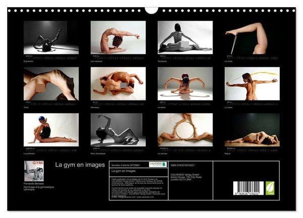Produktbild: La gym en images (Calendrier mural 2026 DIN A3 vertical), CALVENDO calendrier mensuel