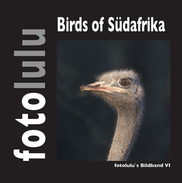 Produktbild: Birds of S&uuml;dafrika