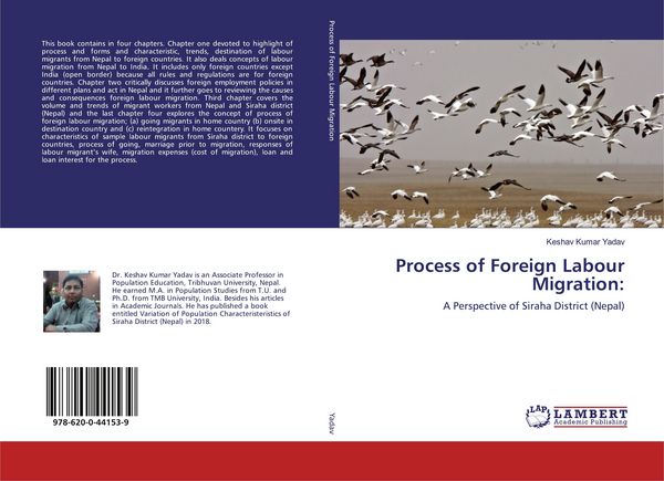 Produktbild: Process of Foreign Labour Migration: