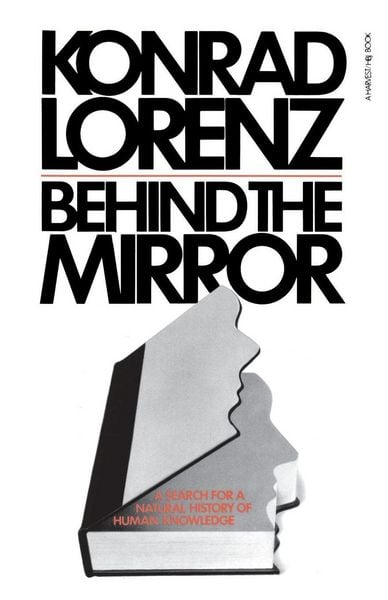 Produktbild: Behind the Mirror