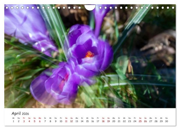 Produktbild: Abstrakte Naturerlebnisse - ICM (Intentional Camera Movement) Fotografie (Wandkalender 2026 DIN A4 quer), CALVENDO Monatskalender
