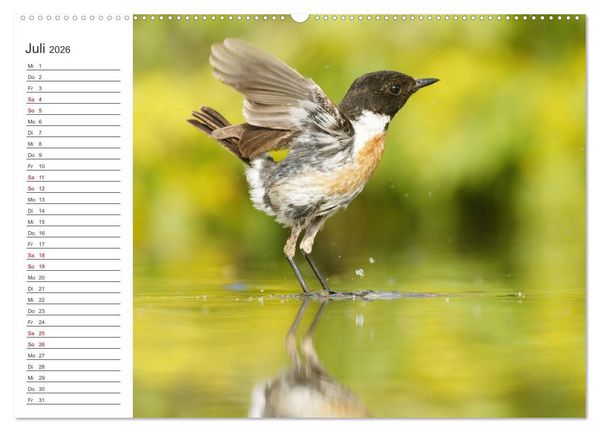 Produktbild: Faszinierendes Bulgarien (Wandkalender 2026 DIN A2 quer), CALVENDO Monatskalender