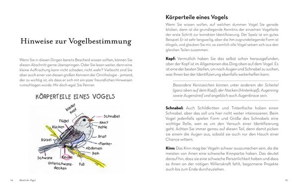 Produktbild: D&auml;mliche V&ouml;gel