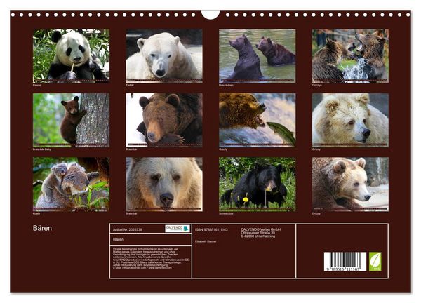 Produktbild: B&auml;ren (Wandkalender 2026 DIN A3 quer), CALVENDO Monatskalender