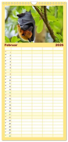 Produktbild: Familienplaner 2026 - Flughunde - Meister der Nacht mit 5 Spalten (Wandkalender, 21 x 45 cm) CALVENDO