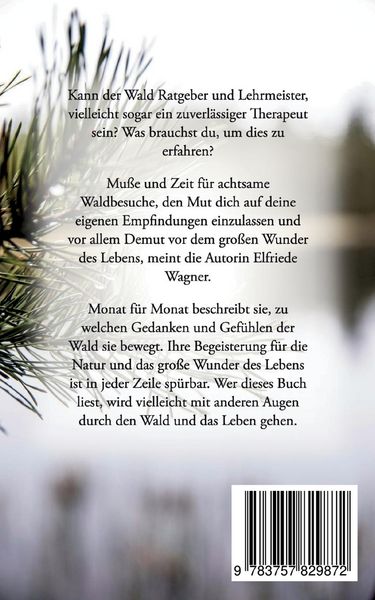 Produktbild: Meine Waldgedanken