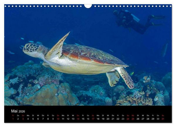 Produktbild: Faszinierendes Leben unter Wasser (Wandkalender 2026 DIN A3 quer), CALVENDO Monatskalender