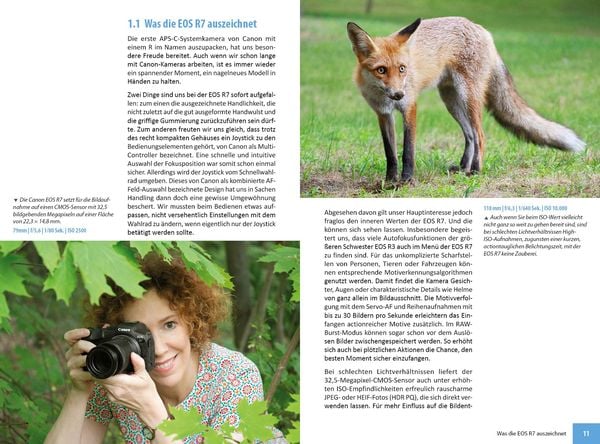 Produktbild: Canon EOS R7