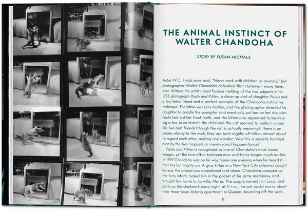 Produktbild: Walter Chandoha