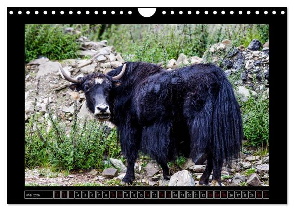 Produktbild: Eine Rundreise durch Tibet (Wandkalender 2026 DIN A4 quer), CALVENDO Monatskalender