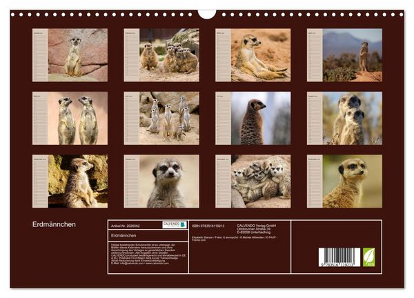 Produktbild: Erdm&auml;nnchen (Wandkalender 2026 DIN A3 quer), CALVENDO Monatskalender
