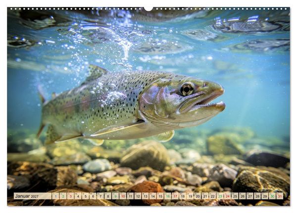 Produktbild: Talsperren - Raubfische (Wandkalender 2027 DIN A2 quer), CALVENDO Monatskalender