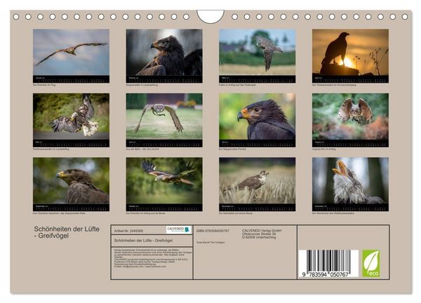 Produktbild: Sch&ouml;nheiten der L&uuml;fte - Greifv&ouml;gel (Wandkalender 2027 DIN A4 quer), CALVENDO Monatskalender