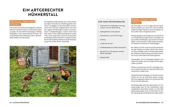 Produktbild: Gartenmomente: H&uuml;hner