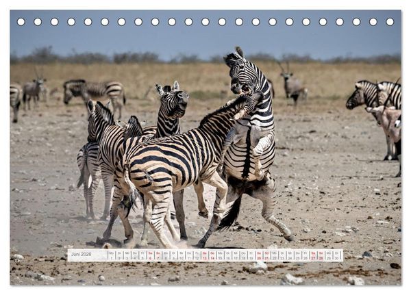 Produktbild: Namibia &ndash; Farben des Lebens (Tischkalender 2026 DIN A5 quer), CALVENDO Monatskalender