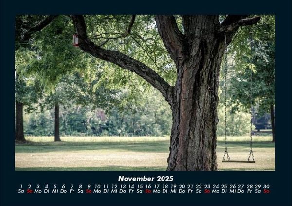 Produktbild: B&auml;ume 2025 Fotokalender DIN A4