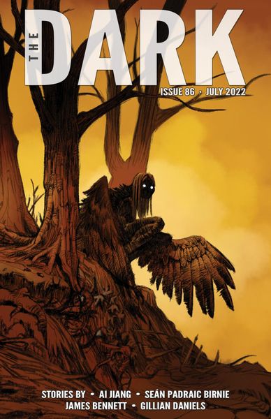 Produktbild: The Dark Issue 86
