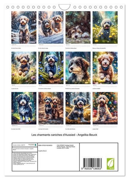Produktbild: Les charmants caniches d'Aussied - Angelika Beuck (Calendrier mural 2026 DIN A4 horizontal), CALVENDO calendrier mensuel