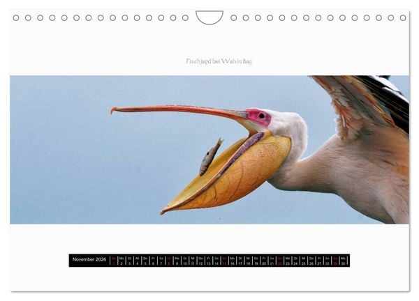 Produktbild: Namibia - Panoramen (Wandkalender 2026 DIN A4 quer), CALVENDO Monatskalender