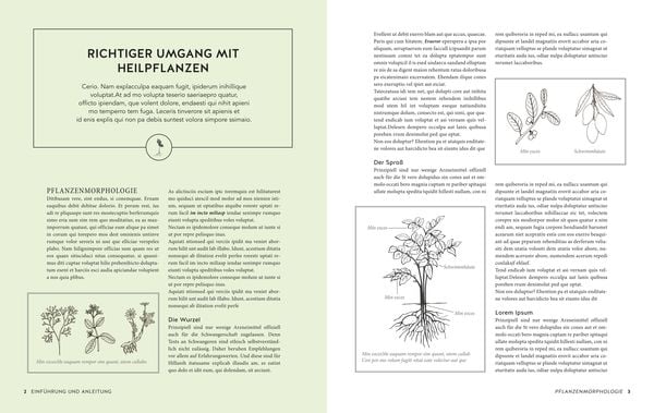 Das große Buch der Heilpflanzen