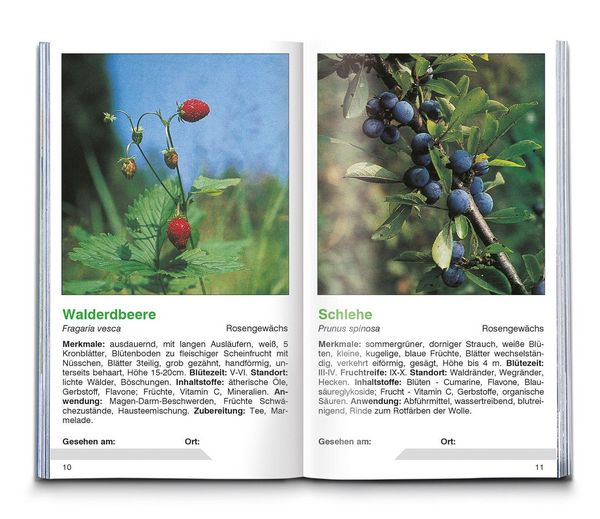 Produktbild: KOMPASS Naturf&uuml;hrer Heilpflanzen, der handliche Begleiter in die Natur