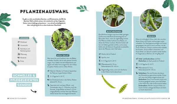 Produktbild: Keine Zeit zu g&auml;rtnern &ndash;&nbsp;Easy planen, pflegen und ernten: Gem&uuml;se, Kr&auml;uter & Beeren