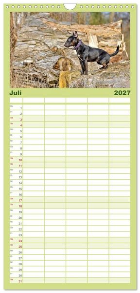 Produktbild: Familienplaner 2027 - Einmal Bullterrier - immer Bullterrier mit 5 Spalten (Wandkalender, 21 x 45 cm) CALVENDO