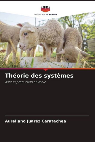Produktbild: Th&eacute;orie des syst&egrave;mes