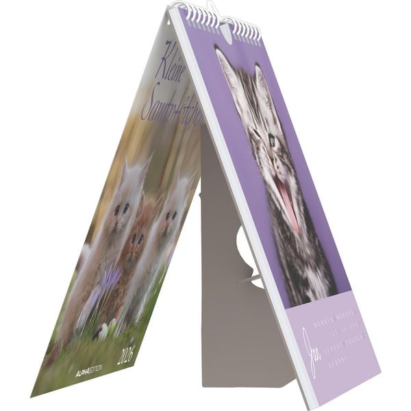 Produktbild: Kleine Samtpfötchen 2026 - Postkartenkalender 16x17 cm - Katzen - zum Aufstellen oder Aufhängen - Monatskalendarium - Gadget - Mitbringsel - Alpha Edi
