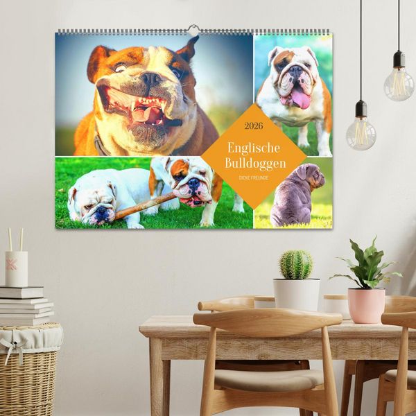 Produktbild: Dicke Freunde. Englische Bulldoggen (Wandkalender 2026 DIN A2 quer), CALVENDO Monatskalender