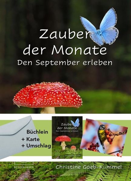 Produktbild: Zauber der Monate
